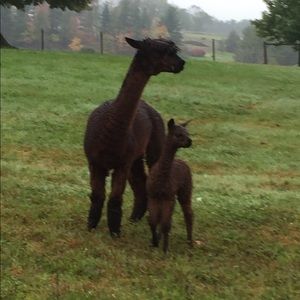 Meet your Posher, Mia